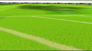 Lawn Shader for Mobile OpenGL3