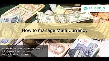 Manage customers and vendors in multiple currencies in Splendid Accounts