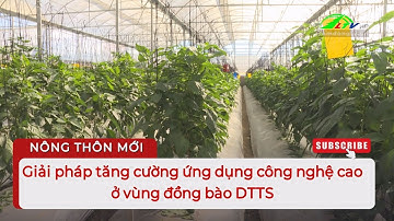 Giải pháp tăng cường ứng dụng công nghệ cao ở vùng đồng bào DTTS  | Lâm Đồng TV