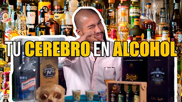 ¿Por qué el alcohol cura la resaca?