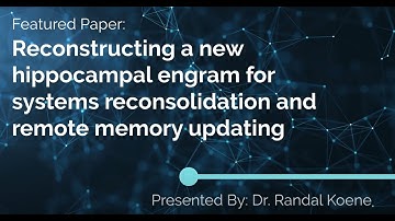 MDJC04 Hippocampal Engram Updating (Lei et al, 2025)
