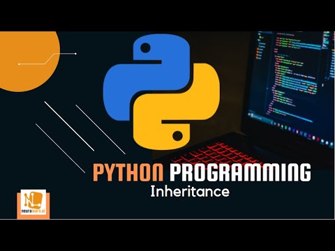 Python Object Oriented Programming (OOP): Inheritance - Essential ...