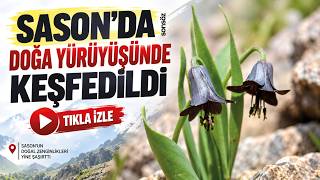 Sason’da Doğa Yürüyüşünde Keşfedildi