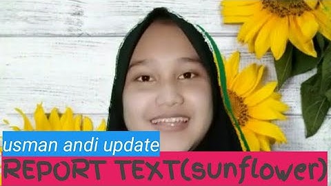 #salamlehoy REPORT TEXT (sunflower) BAHASA INGGRIS KELAS 9(@usmanandi25 channel)