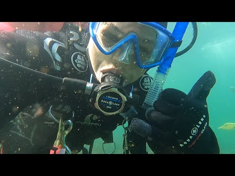 SCUBA Dive with