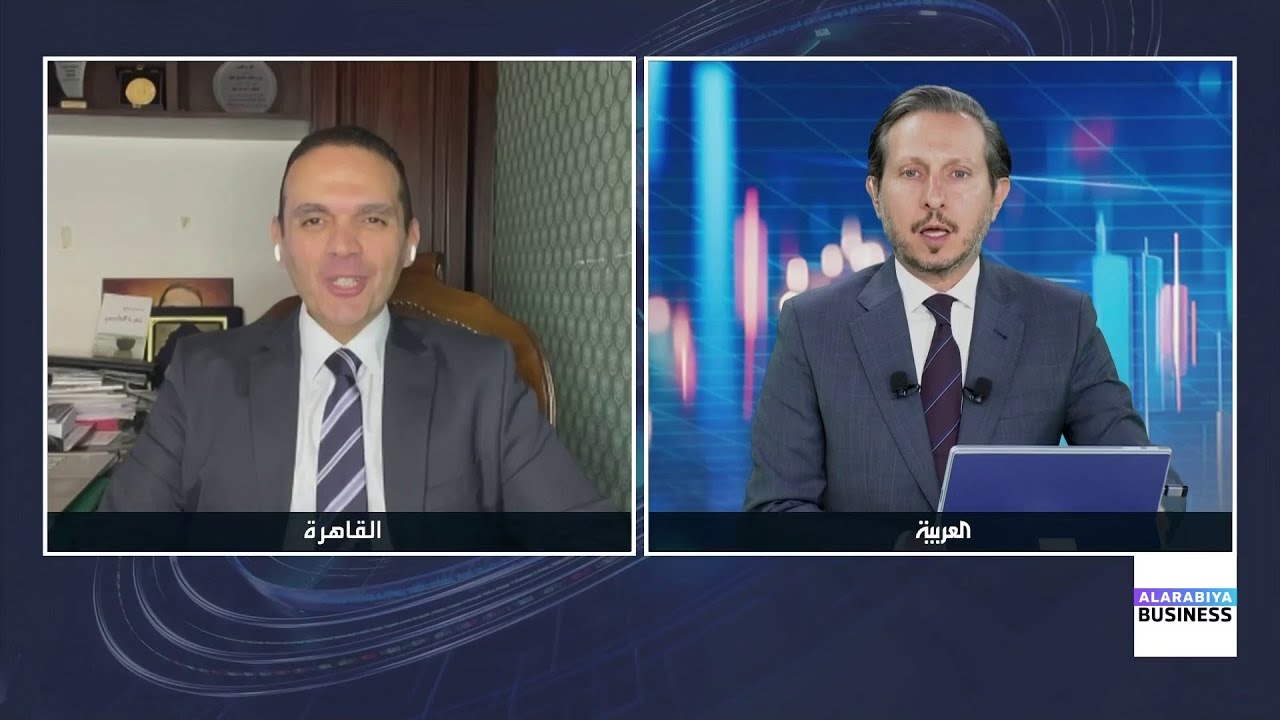 مدحت نافع: شركات القطاع العام في مصر بحاجة إلى إصلاح جذري واستقلالية