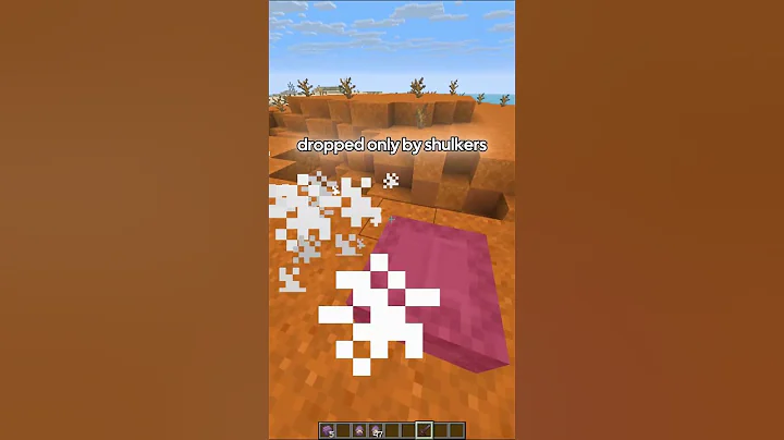 The Rarest Item in Minecraft PEACEFUL Mode 😱 (Impossible Find)