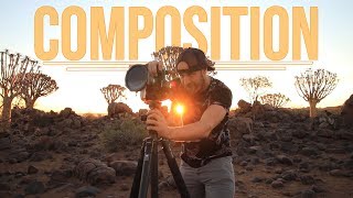 Photography Composition Lessons in The Quiver Tree Forest Photography Composition Lessons in The Quiver Tree Forest