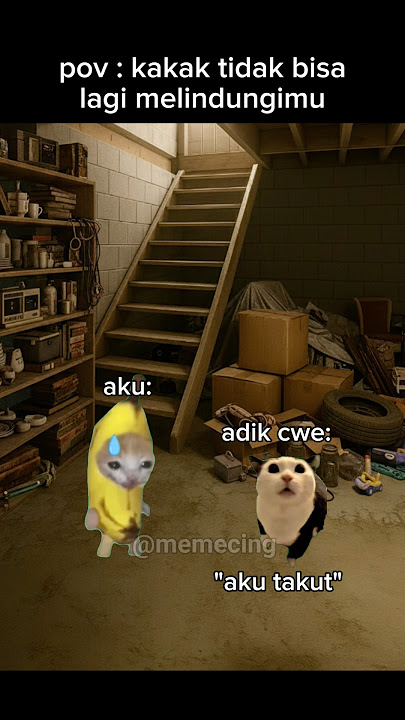 sorry for the ending this time🥹 #meme #memekucing #cat #cutecat #fyp #viral