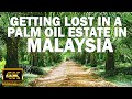 Getting Lost In The Middle of a Palm Oil Estate In Malaysia! Rare Footage In 4K UHD FPS60