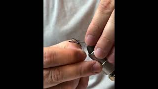 How to tie Pat's Rubber Leg Stonefly to totally dominate Sierra Nevada trout