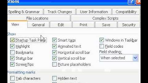 Microsoft Office Word 2003 Display paragraph style names in the document window
