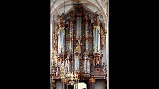 Bach Fantasia In C Minor Bwv562 - Nico Van Den Hooven