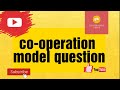 Cooperation model questions  by cooperative tutor