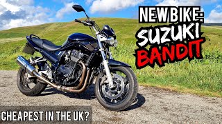 I BOUGHT The CHEAPEST Suzuki BANDIT I Could Find *MEGA Low Miles!*
