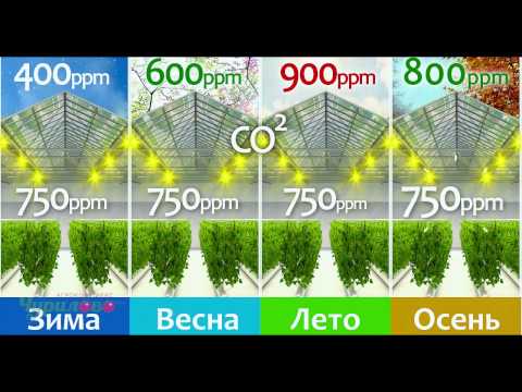 Агрокомплекс «Чурилово»