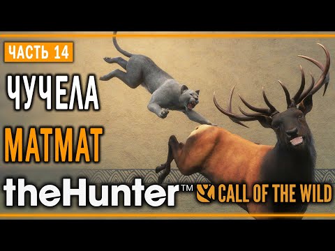 Видео: theHunter Call of the Wild #14 🐱 - Разведка Боем - Кoмпозиции из Чучeл