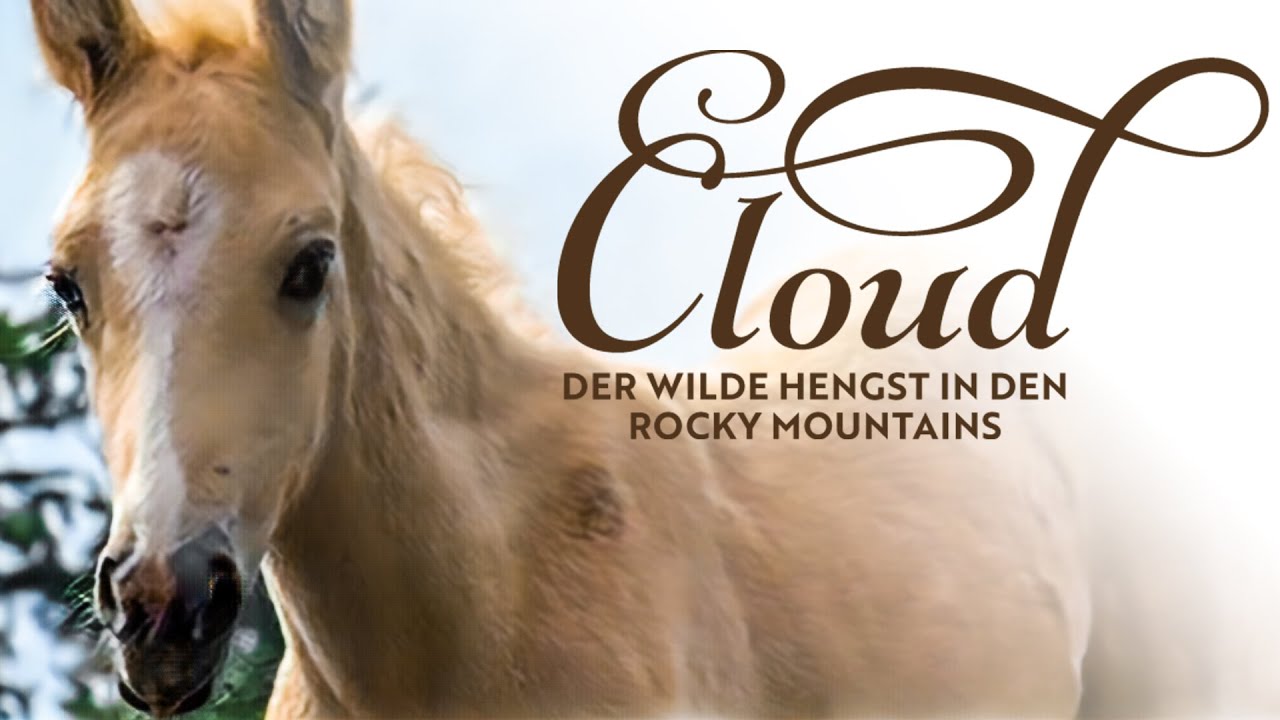 Cloud Ein Wilder Hengst In Den Rocky Mountains 2 Cloud – Der wilde Hengst in den Rocky Mountains (Pferdedokumentation I