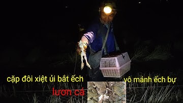 đồng bơm nước 3 anh em xiệt ủi bắt ếch lươn cá chuột nhiều thấy ham 