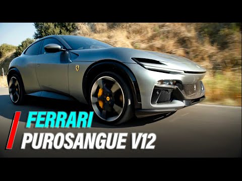 New Ferrari Purosangue SUV Revealed With Suicide Doors And 715-HP V12