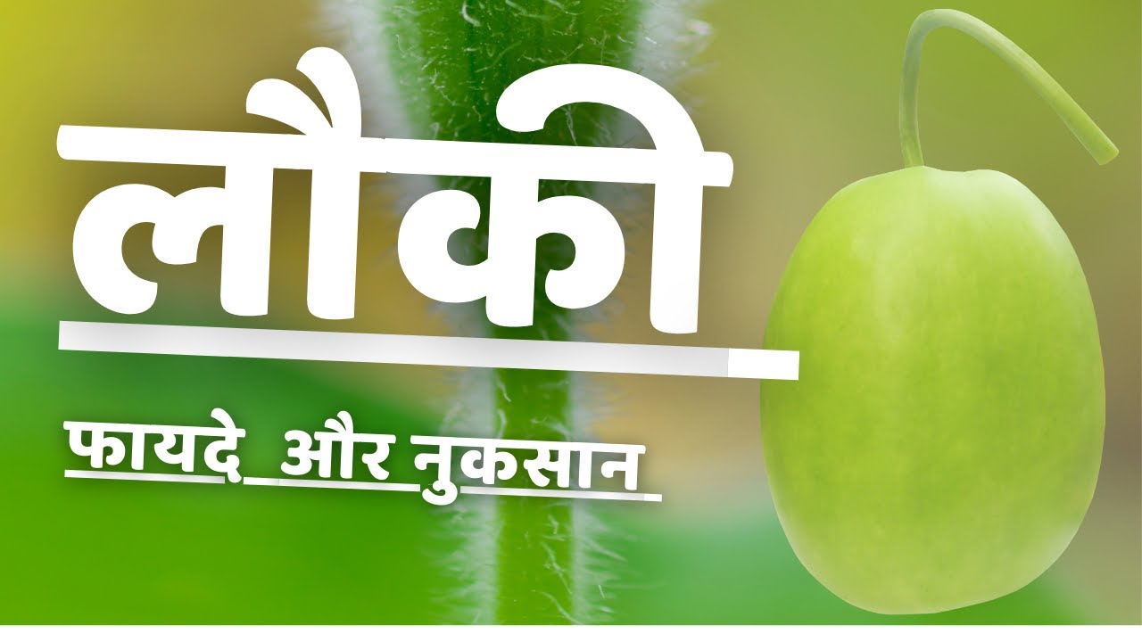  Bottle Gourd Health Benefits Loki Ke Fayde 