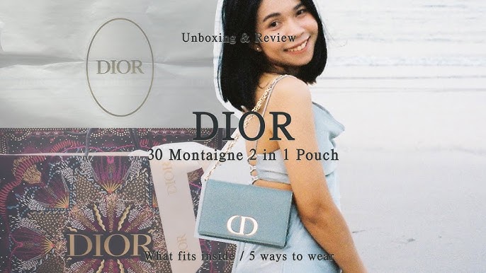 Christian Dior 2020 2-In-1 30 Montaigne Pouch - Grey Waist Bags, Handbags -  CHR343427