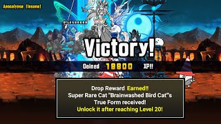 beat The Malevolent Bird - Apocalypse (Insane) | Brainwashed Bird Cat True Form