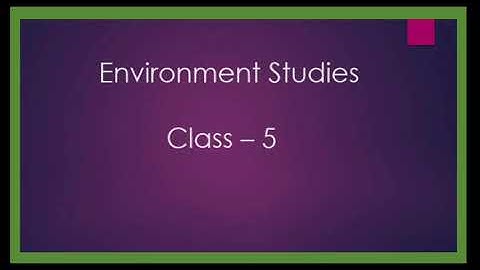 Class 5 lesson 9 Harms of cutting forests