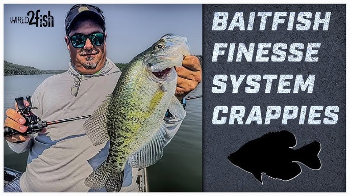 Testing The JENKO BFS ROD On The Water! (BFS Rod for Crappie!) 