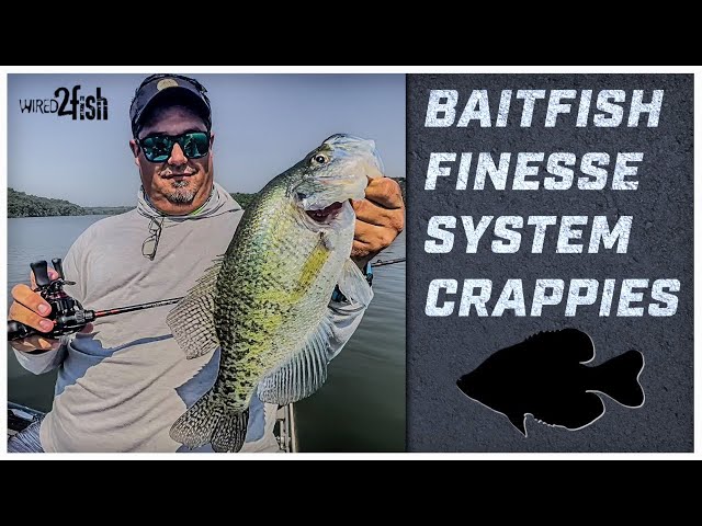 Using Bait Finesse System (BFS) for Crappie Fishing 