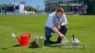 Искусственная трава