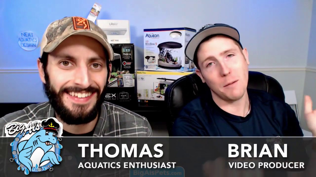 planted aquarium dubai Is RODI needed? • What if I forgot to turn off my filter? • Why are my angelfish dying? • + MORE!