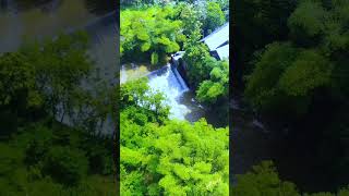 Drone View Alam Desa #alam #desa #pemandanganbagus #wisata