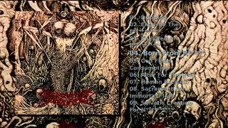 Abomination Impurity — Post Dismembowelment Blunt Serial D***********
