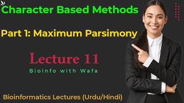 Maximum Parsimony Method |  Character Based Method Part 1 || Lecture 11