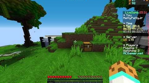 MCSG Hacker report