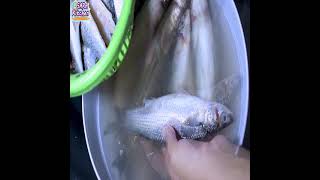 #SHORTS#حل سحري سيخلصك من تطاير  قشور السمك على وجهك وتيابك /The easiest way to clean fish