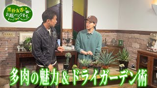 【BS11】黒谷友香、お庭つくります／第35回「ドライガーデンに挑戦！～人気の多肉植物の世界～」出演：黒谷友香、三上真史、吉田 祐治、藤原雅志、堀田裕大（11月29日放送）