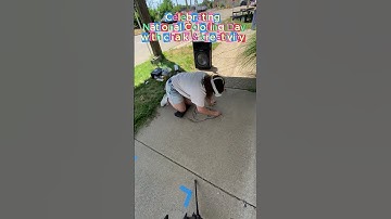 National Coloring Day Fun! Chalk Art That Transforms Any Event