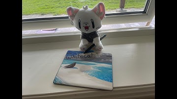 6 digit goes WhiteCat mode...