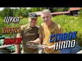 МРІЯ КОЖНОГО РИБАКА!! Красиві клювання линків та золотих карасюг!! ПІПЛО