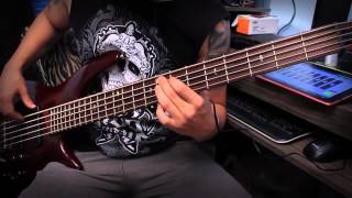 Avenged Sevenfold - Afterlife (Bass Cover Tribute by Gustavo Amaro)