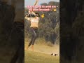 क्रिकेट की दुनिया का असली राजा —वो है हमारा किंग कोहली। 🏏👑