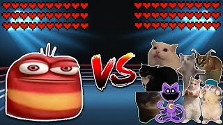 Giant Oi Oi Oi vs 10 Cats! Meme battle
