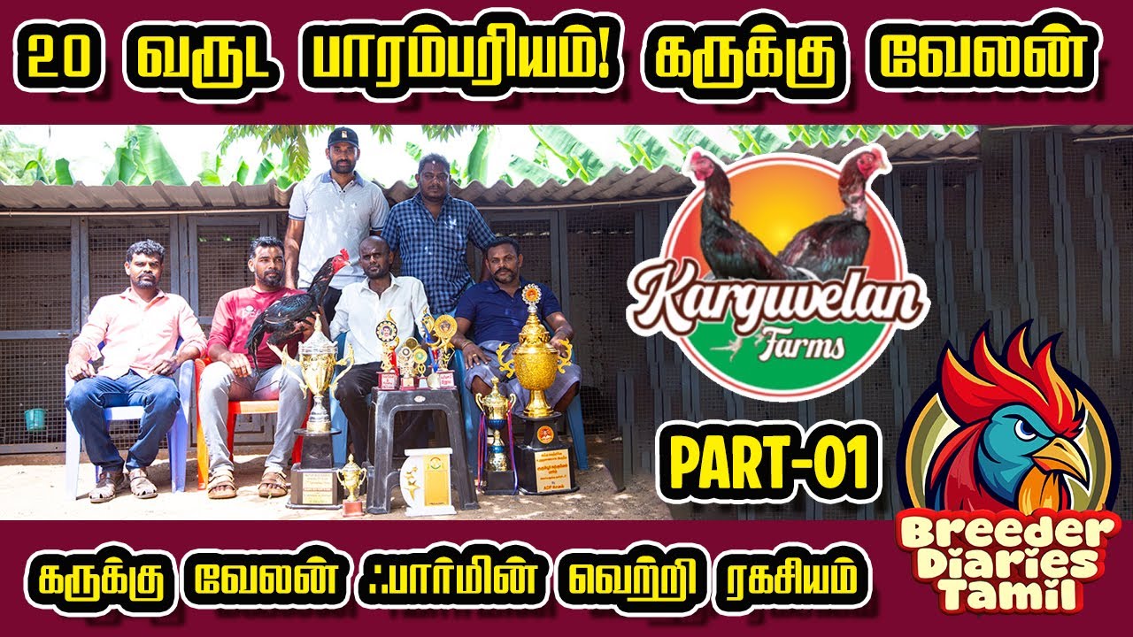 20 வருட பாரம்பரியம்! கருக்கு வேலன் ஃபார்மின் வெற்றி ரகசியம் | #chicken #animals   #farming #youtube