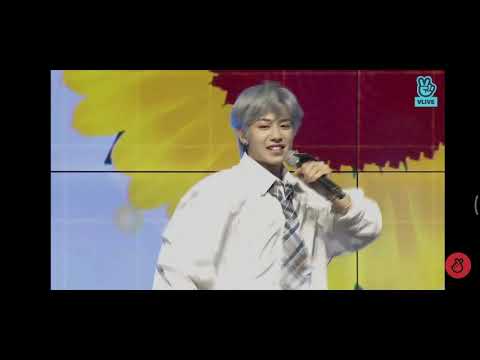 CIIPHER VLIVE "안꿀려" 150321