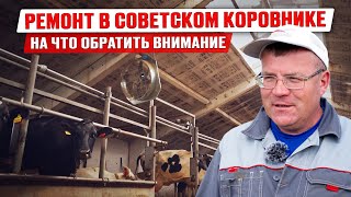 Переоборудование старого советского коровника | Обустройство коровника | Содержание КРС