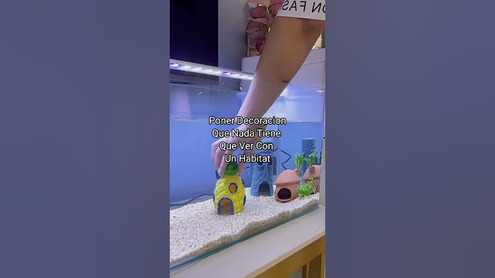 🔴 Errores Que Cometemos Al Montar Un Acuario #shorts (Acuarios MB)