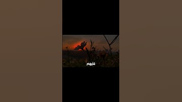 قران كريم استغفر الله العظيم وأتوب إليه اللهم صل على نبينا محمد 🤍🌧️ #راحه_نفسيه