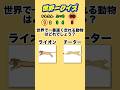 【二択クイズ】あなたはわかる!?色んな世界一を当てて!#クイズ#小学生#ゲーム